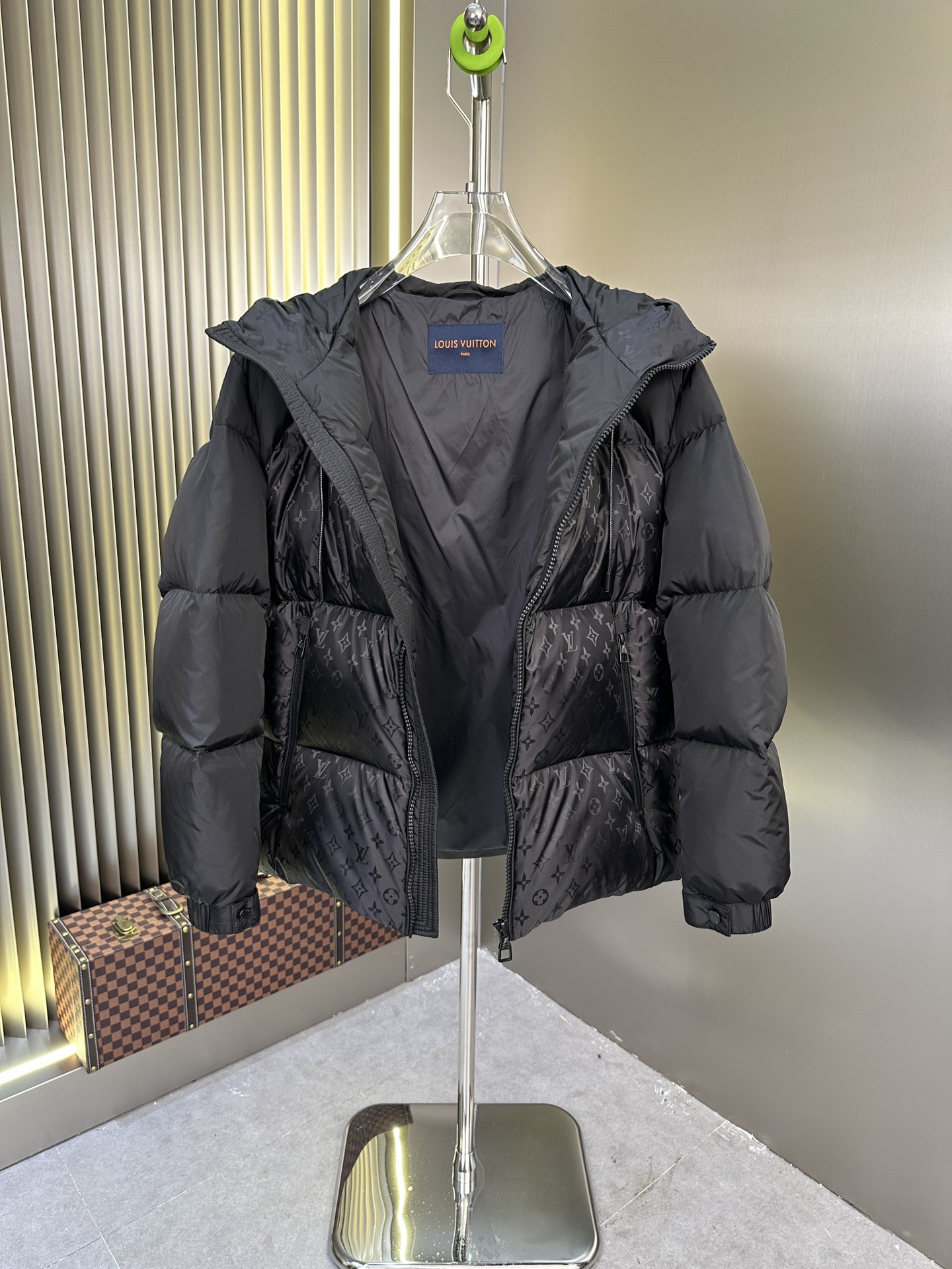 Louis Vuitton Down Jackets